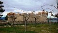 DSC00183