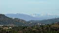DSC00216