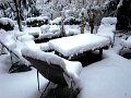 DSC00445