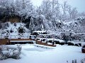 DSC00449