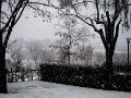 DSC01011