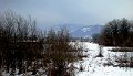 DSC01050