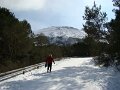 DSC01455