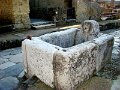 DSC01505