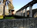 DSCN3782
