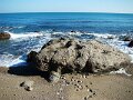 DSC02053