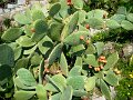 DSC02089