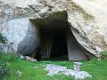 DSC02225