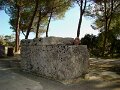 DSC02230