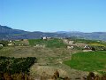 DSC02429