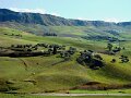 DSC02436