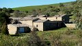 DSC02442