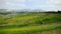 DSC02594