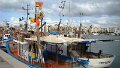 DSC02650