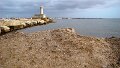 DSC02653