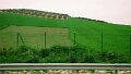 DSC02679