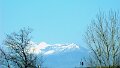 DSC02916