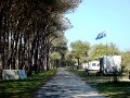 DSC02927