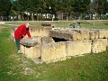 DSC02958