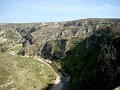 DSC03041