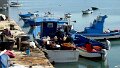 DSC03090