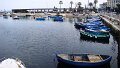 DSC03163