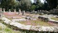 DSC03296