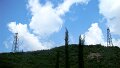 DSC03391