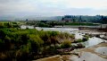 DSC03401
