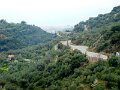 DSC03433