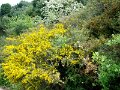 DSC03442