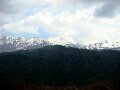 DSC03528