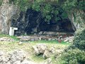 DSC03544
