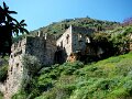 DSC03586 - Copy