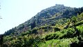 DSC03671