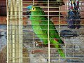 DSC03675