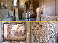 Museum2