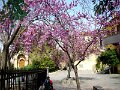 DSC03943
