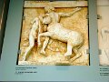 DSC04061