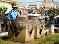 DSC04143