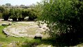 DSC04180