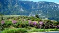 DSC04291
