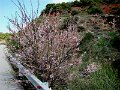 DSC04322