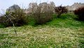 DSC04601