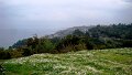 DSC04602