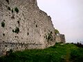 DSC04604