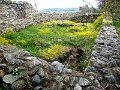 DSC04619