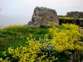DSC04629