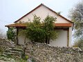 DSC04649