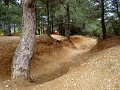 DSC04896